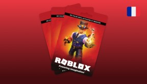 Roblox Gift Card EUR - France